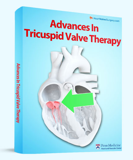 Advances in Robotic Heart Valve Surgery