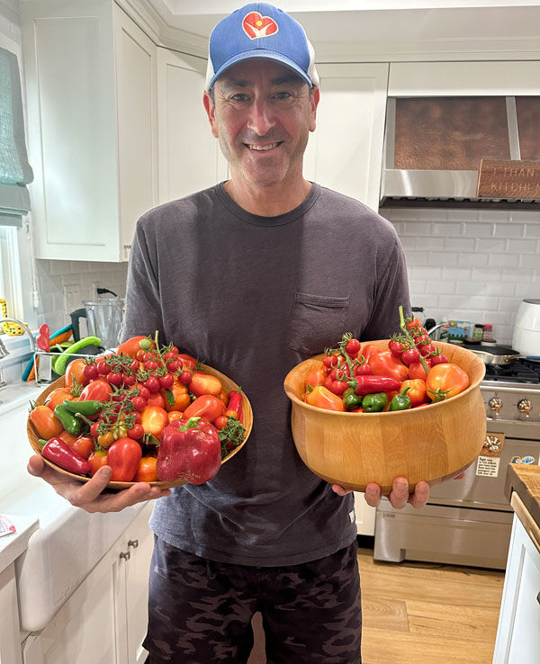 Harvesting Vegetables