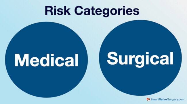 Heart Surgery Risk Categories