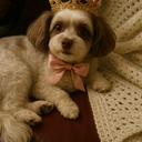 Valerie Allen - Heart Valve Patient