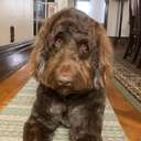 Melinda Donahue - Heart Valve Patient