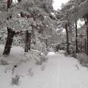 Fidel Martínez Ruiz - Heart Valve Patient