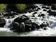 True or False: A Heart Murmur Is Like A Rocky River?